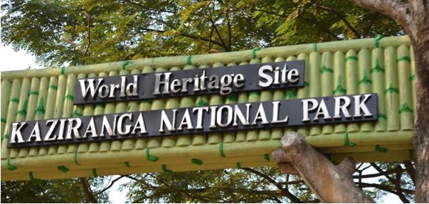 kaziranga national park - the backpackers group - Heritage Site In India