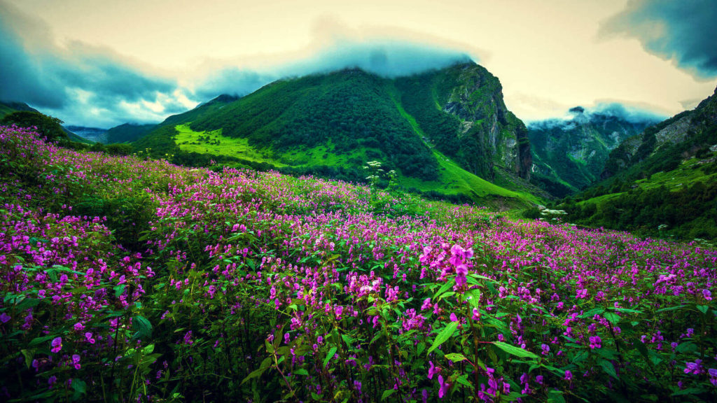 Cover - Valley of Flowers – Story Beyond Mountain and Mist - Uttarakhand - The Backpackers Group